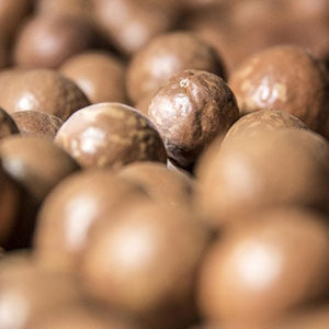 Macadamia nuts