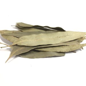 Organic Dried Eucalyptus leaves