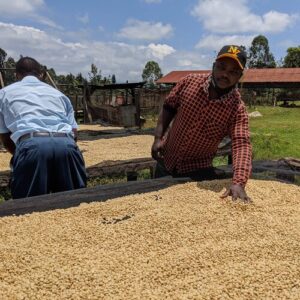 Specialty Blended Coffee