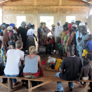 PERMA ORGANIC MORINGA LEAVES