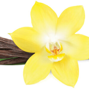 Premium Quality Extraction Grade Vanilla Beans