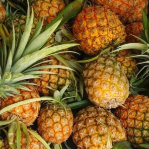 Pineapple