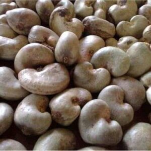 Raw Cashew Nuts