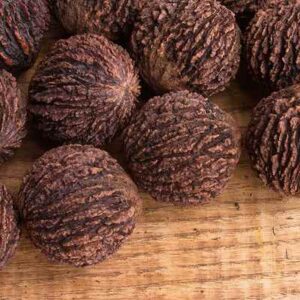 Organic Black Walnut Hull