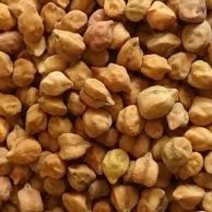 Chickpea