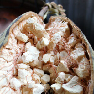 Superfood – Baobab Powder