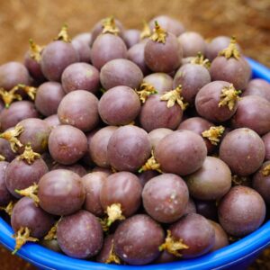 Passion Fruits