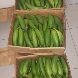 Cooking Banana