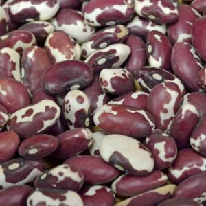Dry beans