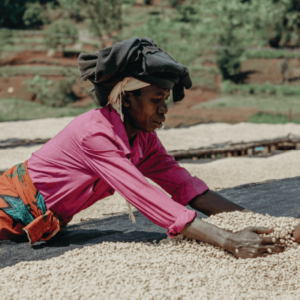 SAN COFFEE Rwanda Specialty Grade Coffee – Unroasted
