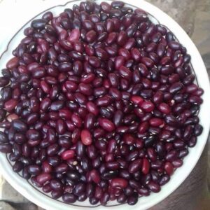 Dried Beans