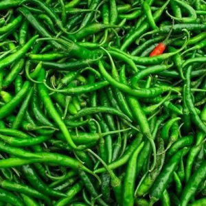 GREEN CHILI