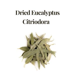 Dried Eucalyptus Citriodora Leaves 100% Eucalyptus Herb Leaves | USDA Certified Organic, Herbal Tea, Caffeine-Free, Non-GMO, Vegan, Gluten-Free