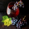 Wines